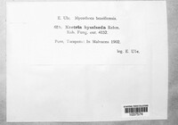 Image Associated With the Occurence